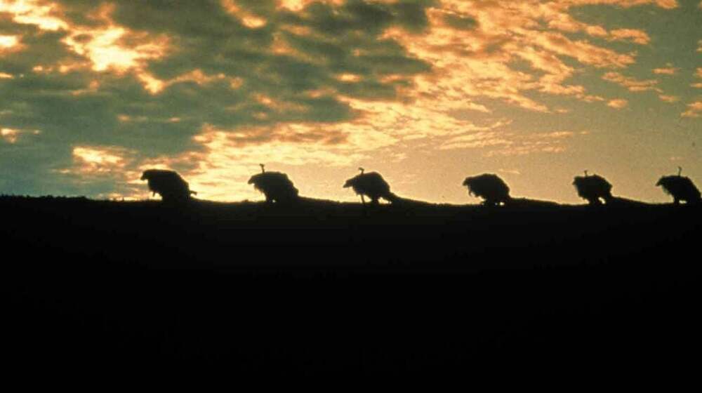 El estudio le pidió cambios a esta mítica película de fantasía y no se fio de que la fueran a estrenar: acabó pagando el estreno de su propio bolsillo