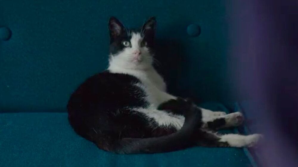 Hace 11 a&ntilde;os, un despido fulminante hundi&oacute; esta pel&iacute;cula: tiempo despu&eacute;s acabar&iacute;a llegando a los Oscar